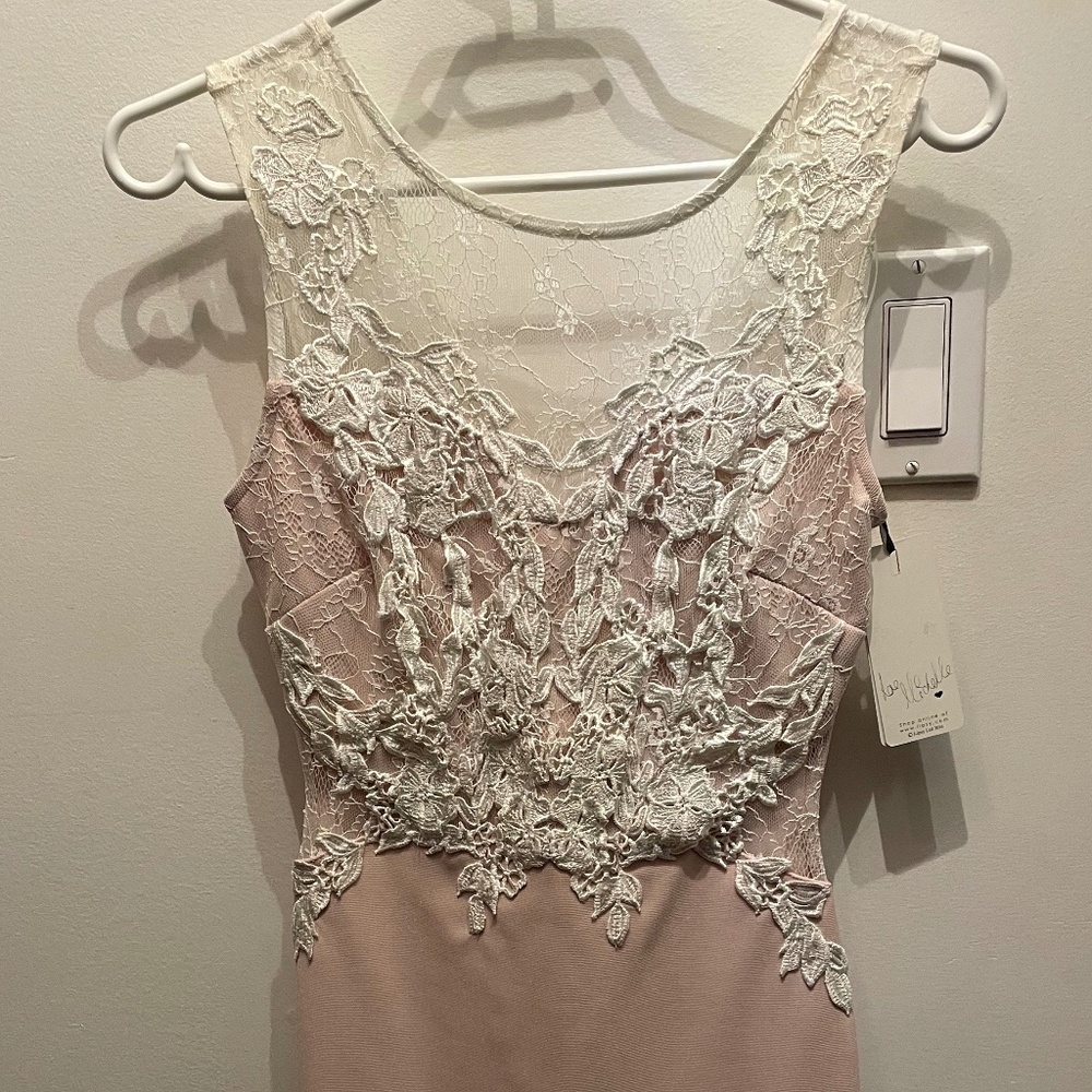 Fitted dusty rose dress